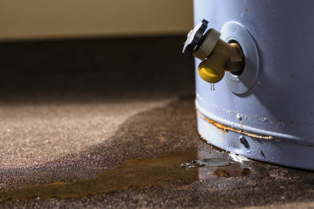 Best Water damage contractors near me  in Snead, AL