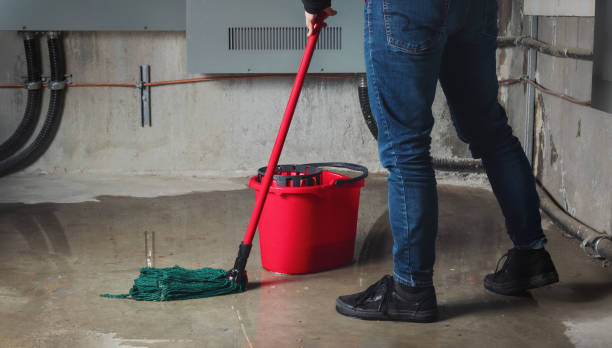 Best Flood damage cleanup  in Snead, AL