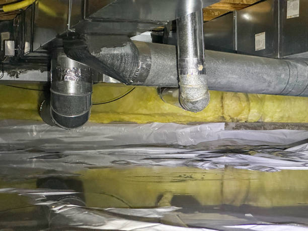 Best Basement water damage restoration  in Snead, AL