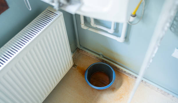 Best Basement water damage restoration  in Snead, AL