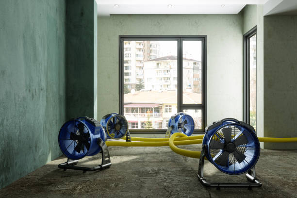Best Carpet water damage restoration  in Snead, AL